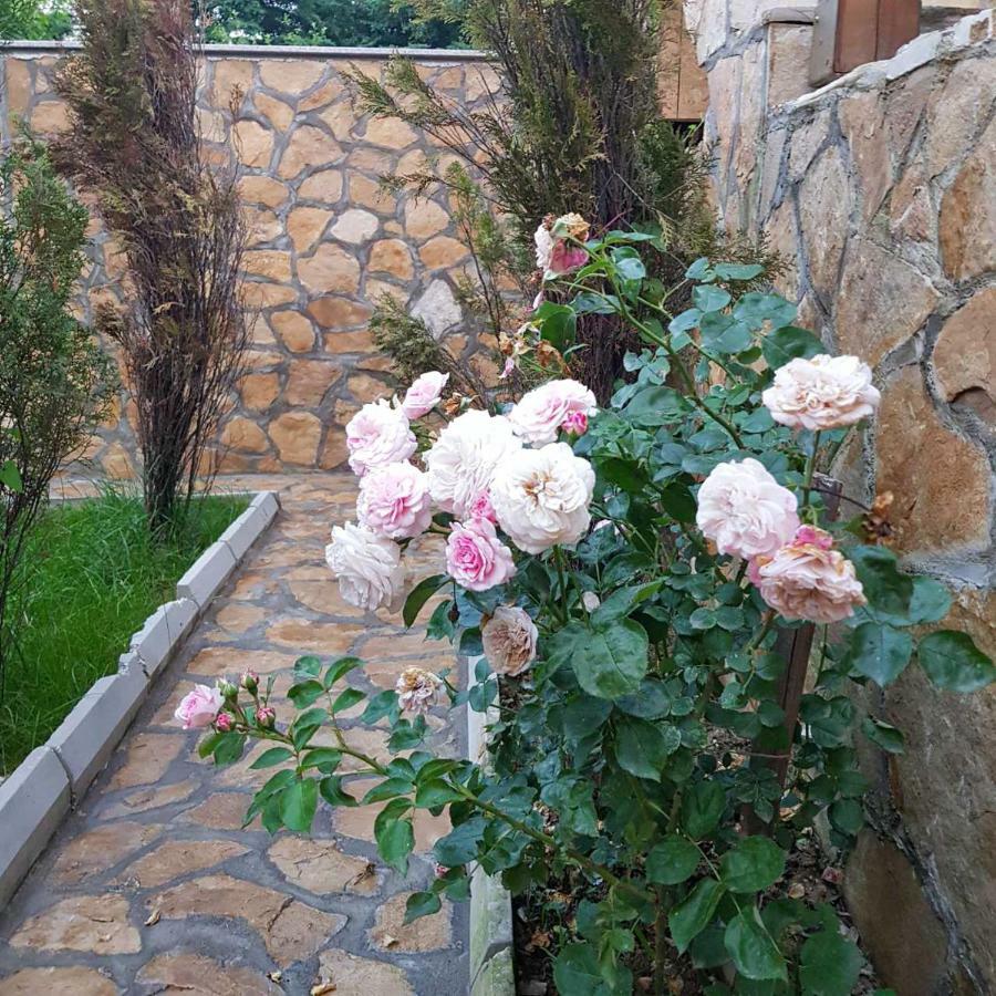 Apartment Little Paradise Visoko Exterior foto